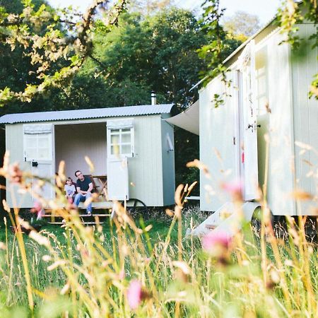 Snowdonia Shepherds' Huts كونوي المظهر الخارجي الصورة