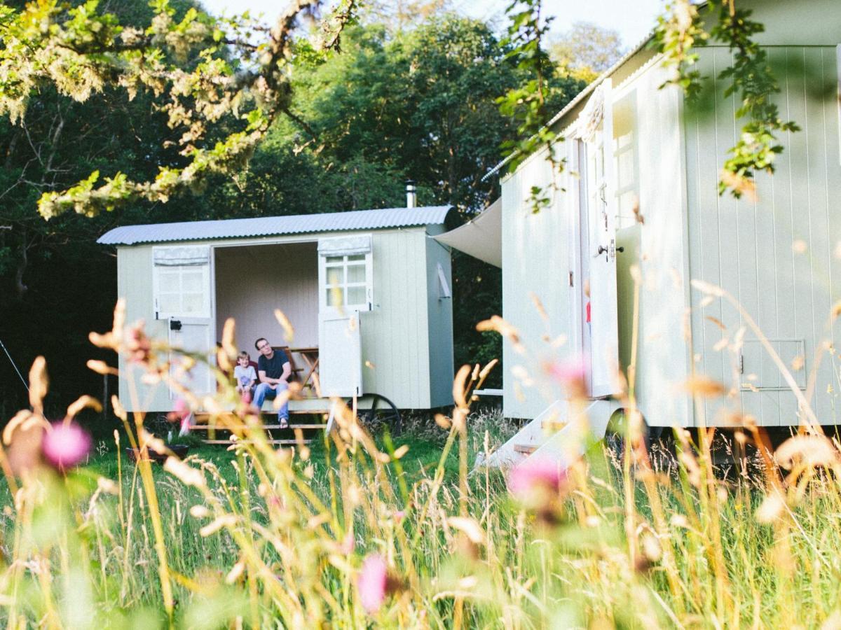 Snowdonia Shepherds' Huts كونوي المظهر الخارجي الصورة