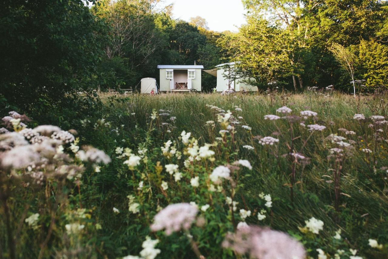 Snowdonia Shepherds' Huts كونوي المظهر الخارجي الصورة